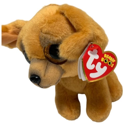 New Ty Beanie Boos 6 in Tall Zuzu Dpg puppy Gold Glitter Eyes Chihuahua - Picture 2 of 7